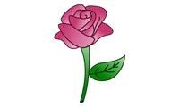 Sådan tegner man en rose