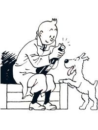Tintin og Struppi