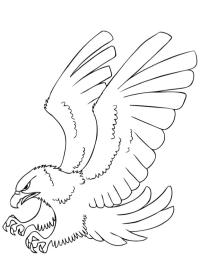Ørn