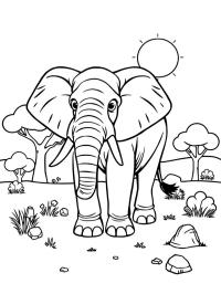 Afrikansk elefant
