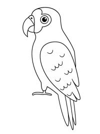 Amazonas papeg&oslash;je