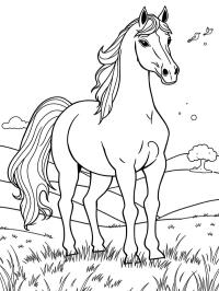 Andalusisk hest