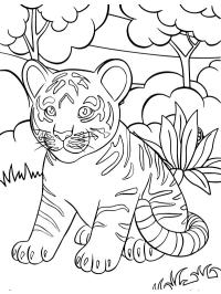 Babytiger
