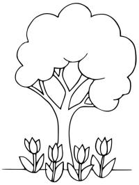 Træer og tulipaner