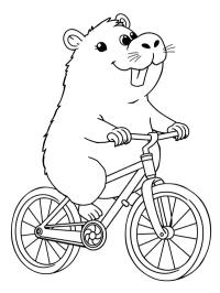 Kapivar på cykel