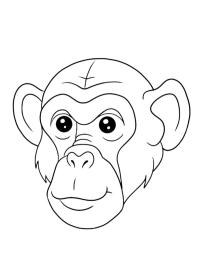 Chimpanse ansigt