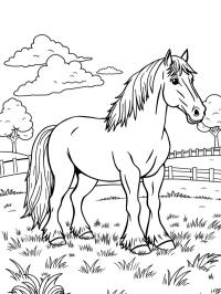Clydesdale hest