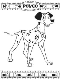 Dalmatiner Pongo
