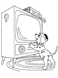 Dalmatiner ser tv