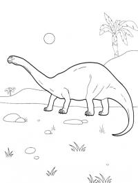 Diplodocus dinosaur