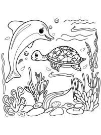 Delfin og skildpadde