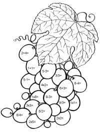 Matematik med vindruer