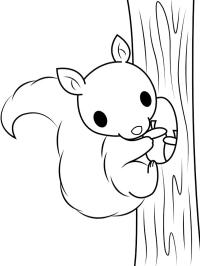 Egern klatrer i træ