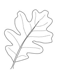 Egeblad