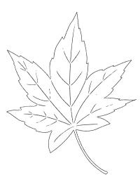 Ahornblad