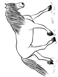 Frisisk hest