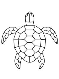 Geometrisk skildpadde