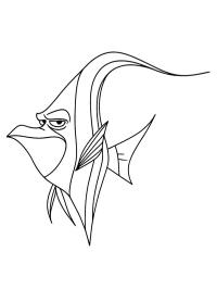 Gælle (Find Nemo)