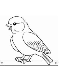 Dompap fugl