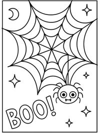 Sjov edderkop i et spindelv&aelig;v