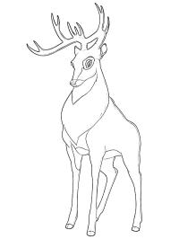 Skovens Konge (Bambi)