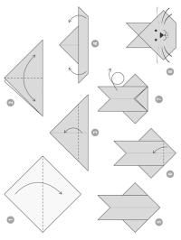 Fold en hare