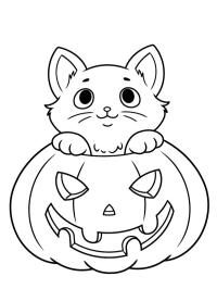 Allehelgensaften kat
