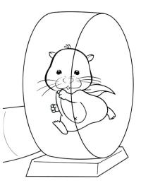 Hamster i hamsterhjulet
