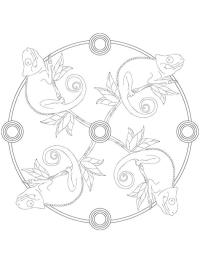 Kamæleon mandala