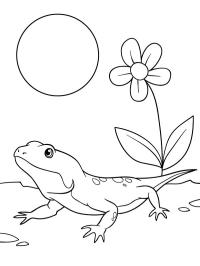Kamæleon