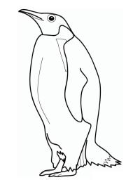 Kejserpingvin