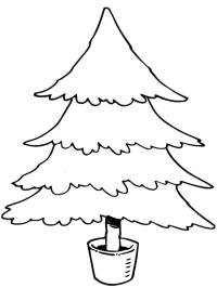 Juletræ i potten