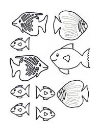 Små fisk