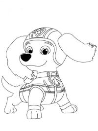 Gravhunden Liberty (PAW Patrol)