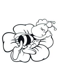 Bien Willy sover