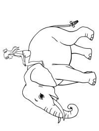 Pige på en elefant