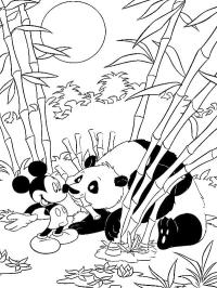 Mickey Mouse og panda