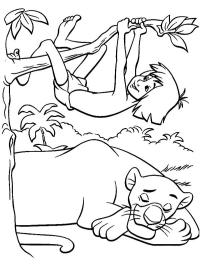 Mowgli klatrer i træet