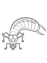 Ørentvist