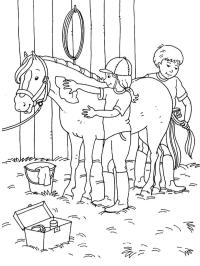 Pleje af hest