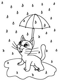 Kat i regnen