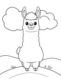 Nuttet Alpaca