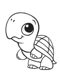 Nuttet skildpadde