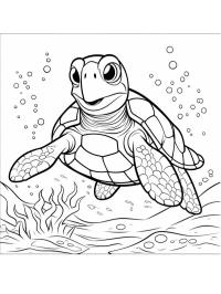 Skildpadde under vandet