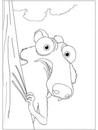 Egernet Scrat
