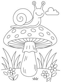 Snegl p&aring; svamp