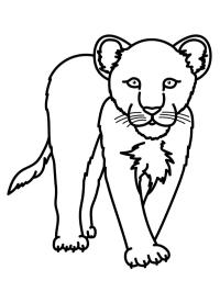 Sneleopard