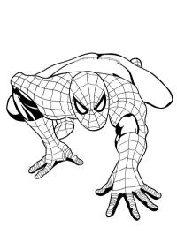 Spiderman kravler