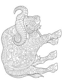 Tyr for voksne