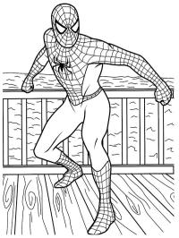 Seje Spiderman